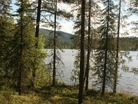 FIN, Oulu, Kuusamo, Valtavaara NP 7, Saxifraga-Dirk Hilbers